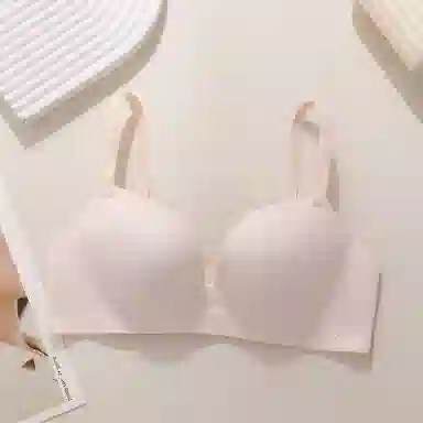 黛尔佳人 提拉无钢圈小胸聚拢文胸 女款