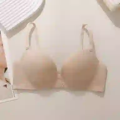 黛尔佳人 提拉无钢圈小胸聚拢文胸 女款