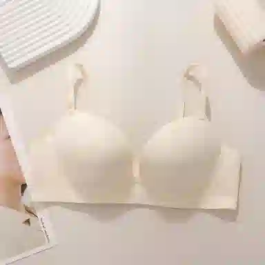 黛尔佳人 提拉无钢圈小胸聚拢文胸 女款