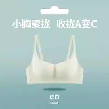 黛尔佳人 内衣女小胸聚拢显大无痕无钢圈收副乳软支撑上托防下垂胸罩文胸 女款