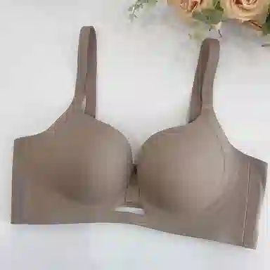 黛尔佳人 小胸聚拢显大上托防下垂文胸 女款