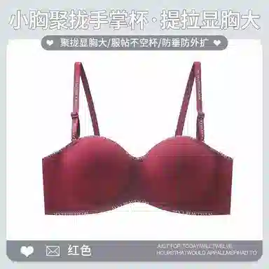 黛尔佳人 无痕内衣女大胸显小胸聚拢夏季薄款防下垂软支撑胸罩文胸 女款