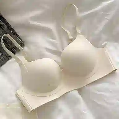 黛尔佳人 小胸聚拢显大舒适无钢圈收副乳防下垂软支撑文胸 女款