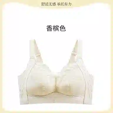 黛尔佳人 大胸显小聚拢超薄透气聚拢上托胸罩收副乳无痕蕾丝防下垂内衣文胸 女款