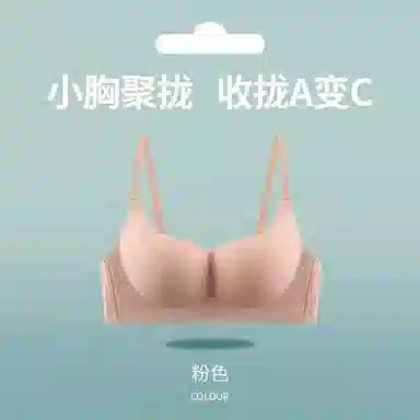 黛尔佳人 内衣女小胸聚拢显大无痕无钢圈收副乳软支撑上托防下垂胸罩文胸 女款