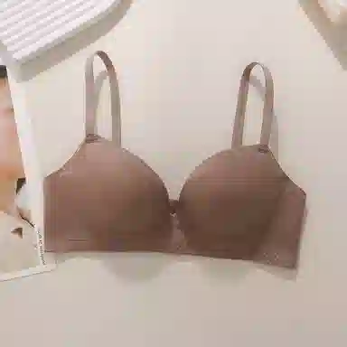 黛尔佳人 提拉无钢圈小胸聚拢文胸 女款