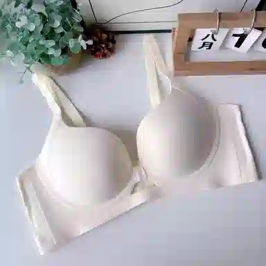 黛尔佳人 小胸聚拢显大上托防下垂文胸 女款