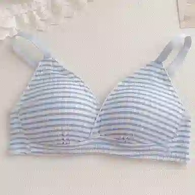 bra