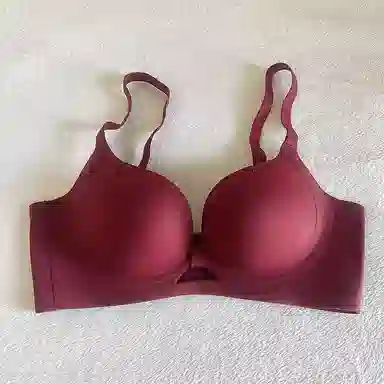 黛尔佳人 小胸聚拢显大上托防下垂文胸 女款