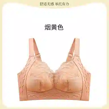 黛尔佳人 大胸显小聚拢超薄透气聚拢上托胸罩收副乳无痕蕾丝防下垂内衣文胸 女款