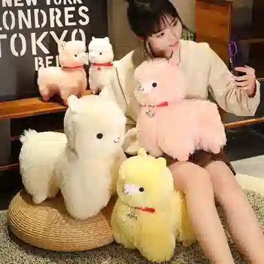 25cm35cm45cm