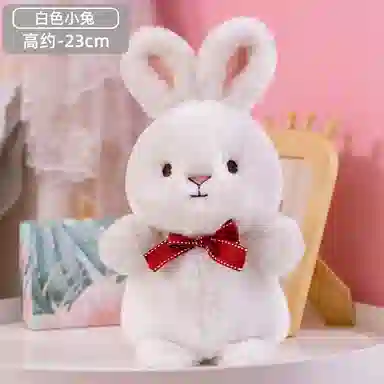 23cm
