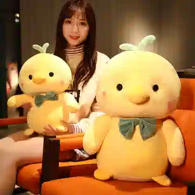 22cm35cm50cm70cm