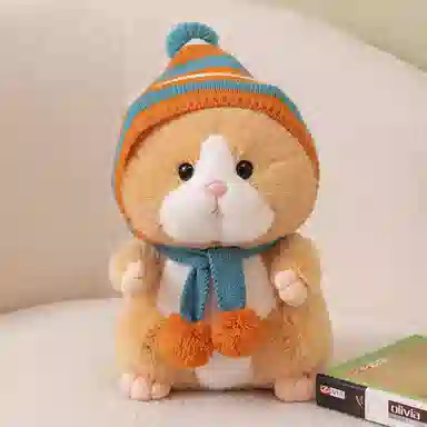 25cm30cm