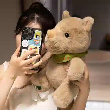 25cm35cm50cm