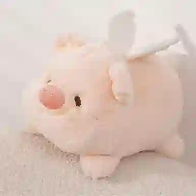 20cm30cm