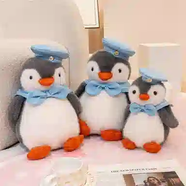 25cm 35cm