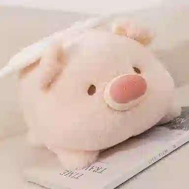 20cm30cm