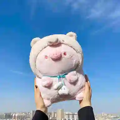 35cm45cm