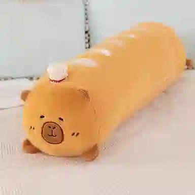 50cm