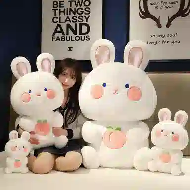 25cm40cm65cm95cm