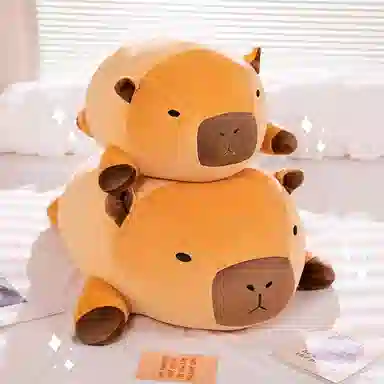 40cm50cm