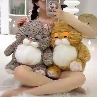 25cm35cm