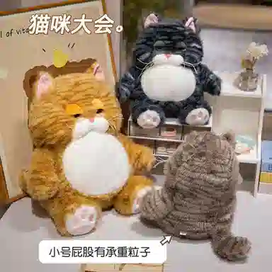 25cm35cm