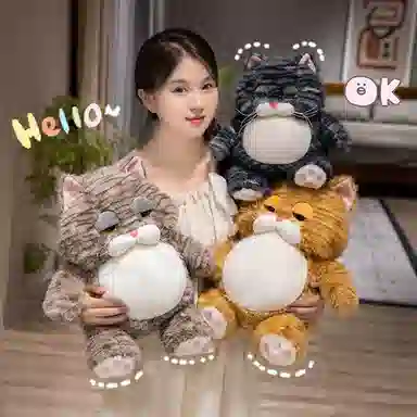 25cm35cm
