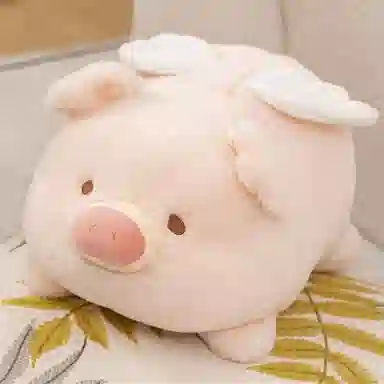 20cm30cm