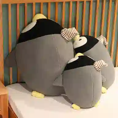 40cm50cm