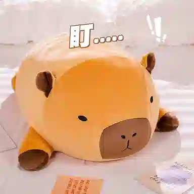 40cm50cm