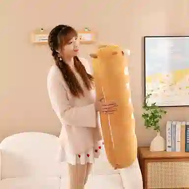 50cm