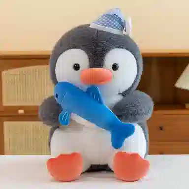 40cm50cm