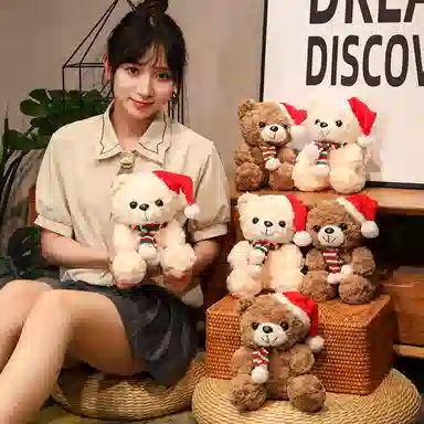 25cm