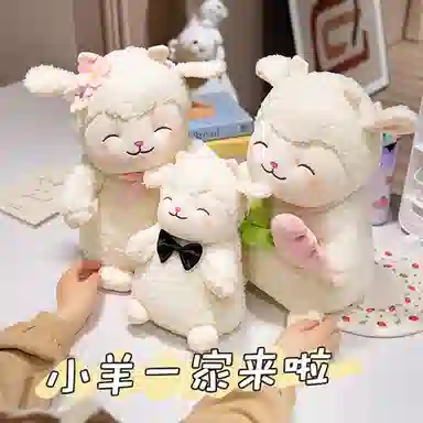 25cm35cm