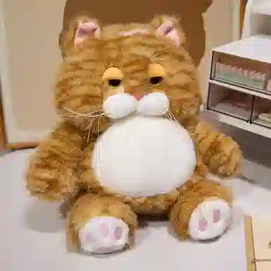 25cm35cm