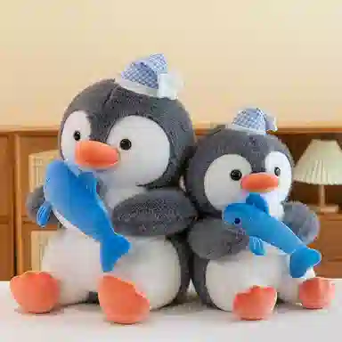 40cm50cm