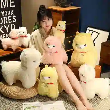 25cm35cm45cm