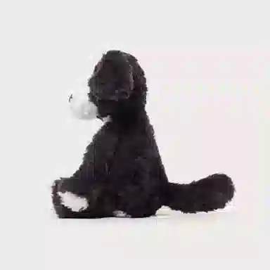 24cm