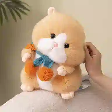 25cm30cm