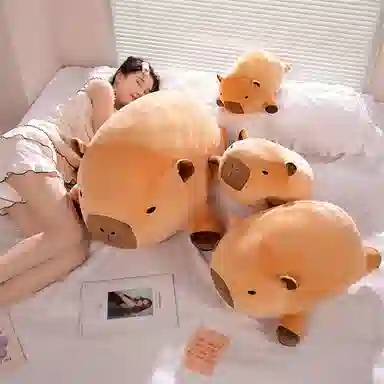 40cm50cm