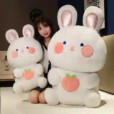 25cm40cm65cm95cm