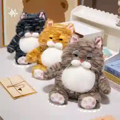 25cm35cm