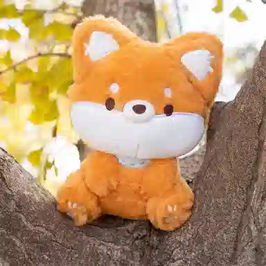 23cm