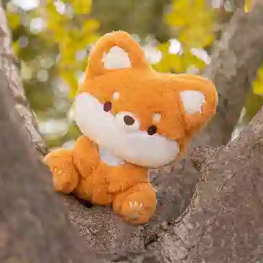23cm