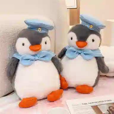 25cm 35cm