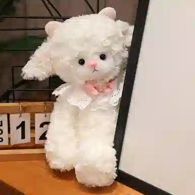 45cm