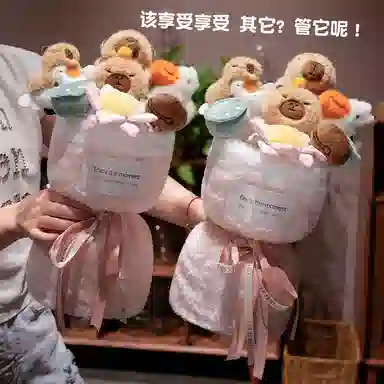 一合鸽 卡皮巴拉 佛系水豚公仔花束花束可爱创意 玩偶周边