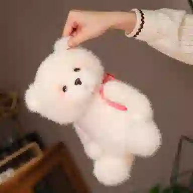 25cm35cm
